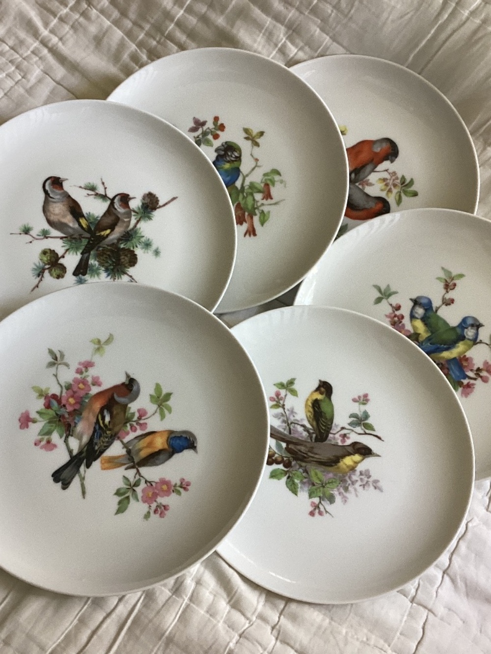 TROSTER STUDIO SET OF SIX 8 INCH BIRD THEMED PLATES